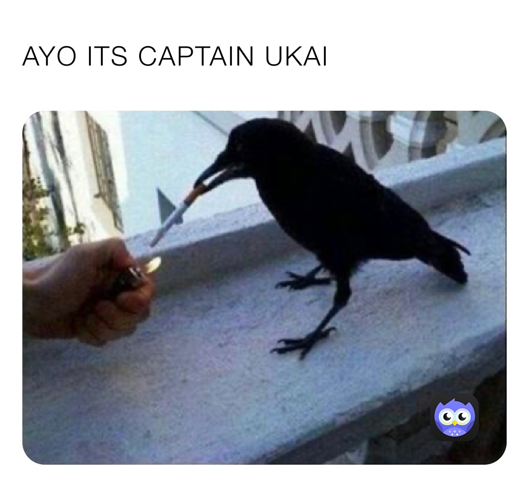 AYO ITS CAPTAIN UKAI