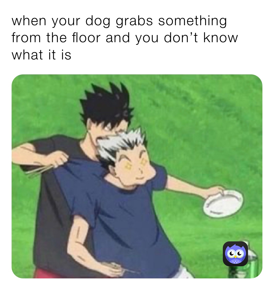 when your dog grabs something from the floor and you don’t know what it is