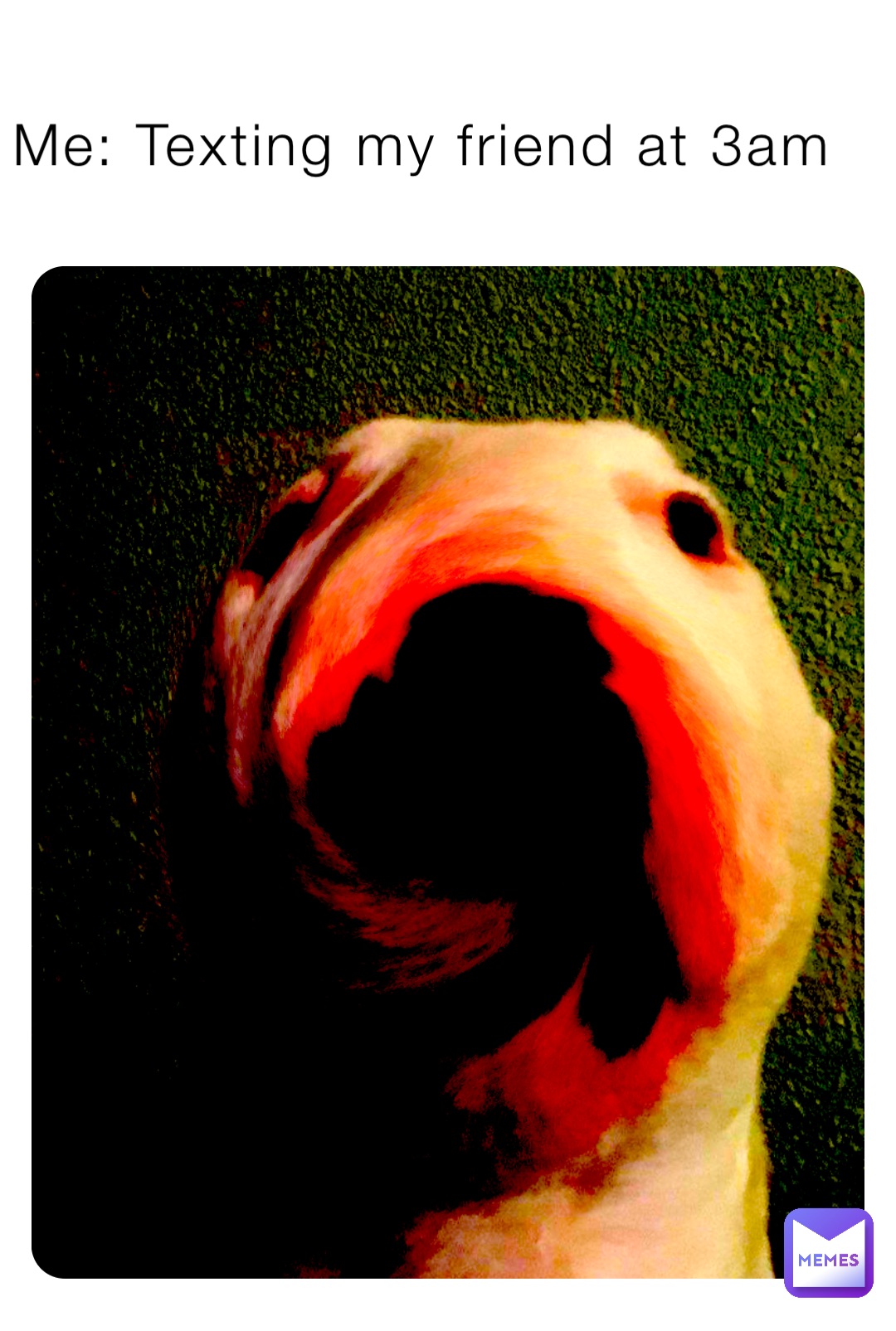 Meme by DankMemerDuh