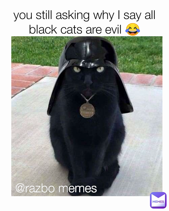 @razbo memes you still asking why I say all black cats are evil 😂