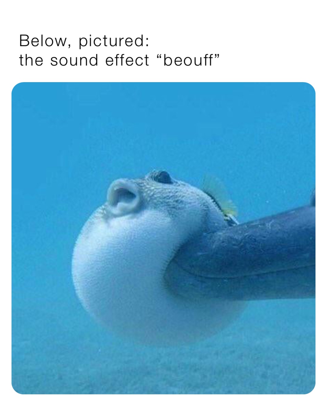 Below, pictured: 
the sound effect “beouff”
