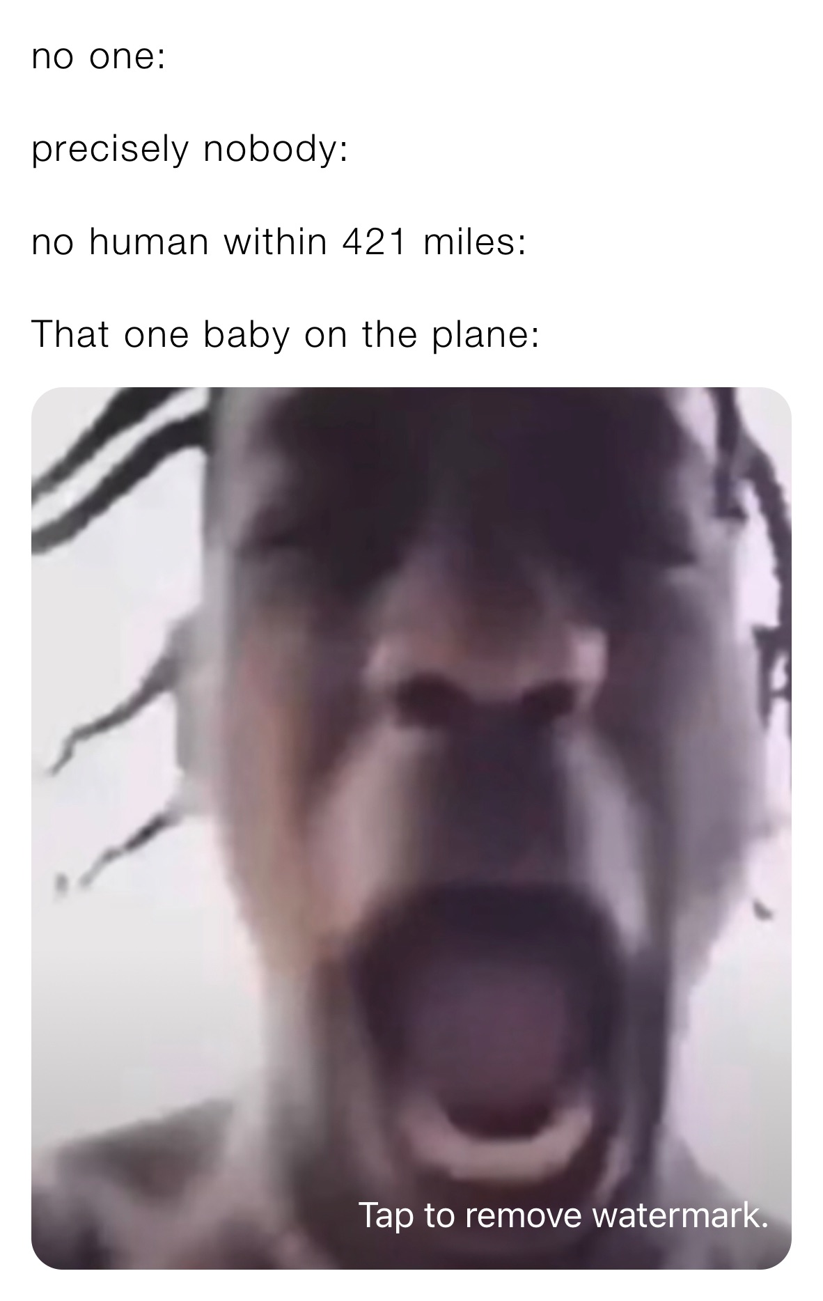 no one:

precisely nobody:

no human within 421 miles:

That one baby on the plane: