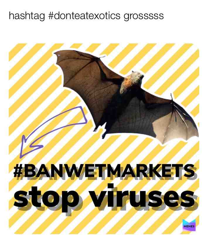 #bats #gross #memestagram Memes #memesdaily #sarcasm #weekend #humor #pandemic #cats #donaldtrump #socialdistancing Monkey #monkey #southpark #gamingmemes #evolution #drinking #madagascar #fortnite Gamers