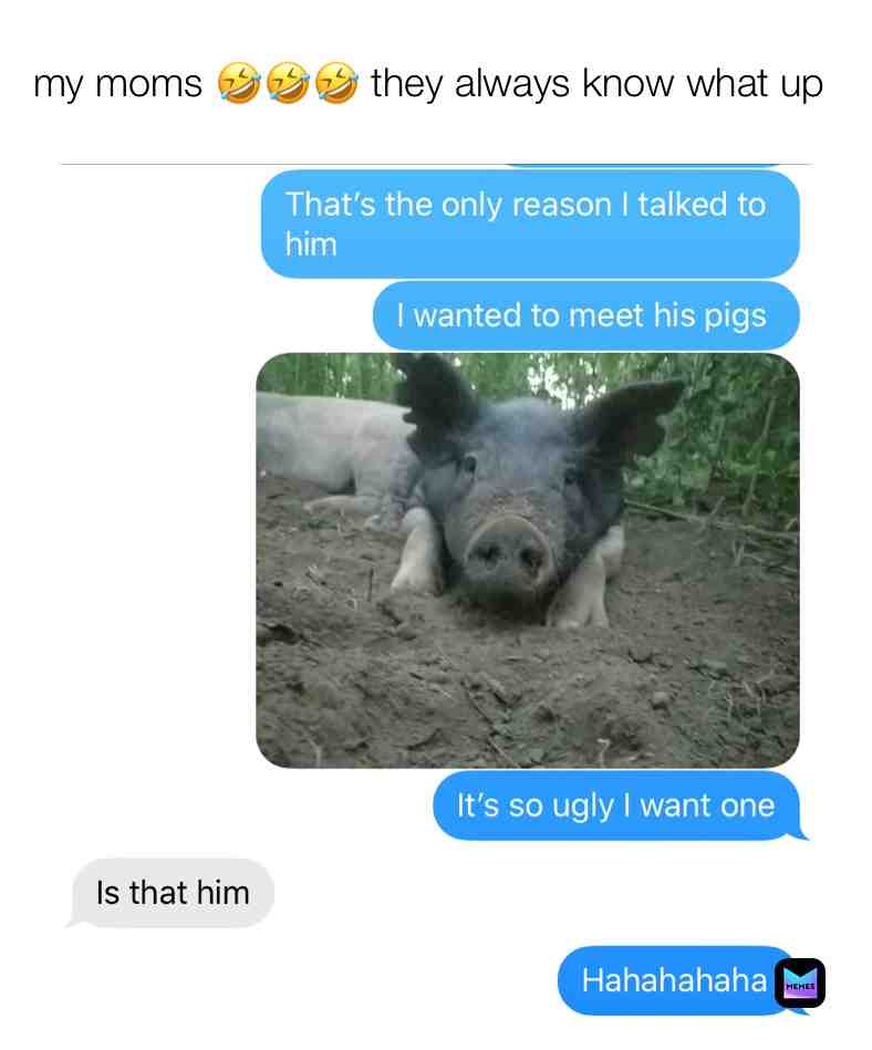 #funnymemes  #funnymemes ​Memes  #memesdaily  #memestagram  #sarcasm  #weekend  #humor  #new  #donaldtrump  #cats  #pandemic  #socialdistancing ​ #monkey  #evolution  #gamingmemes  #southpark  #drinking  #callofduty  #fortnite  #catsofinstagram  #farm  #onlinedating  #tinder  #mom  #texts