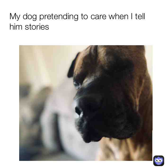 Meme preview
