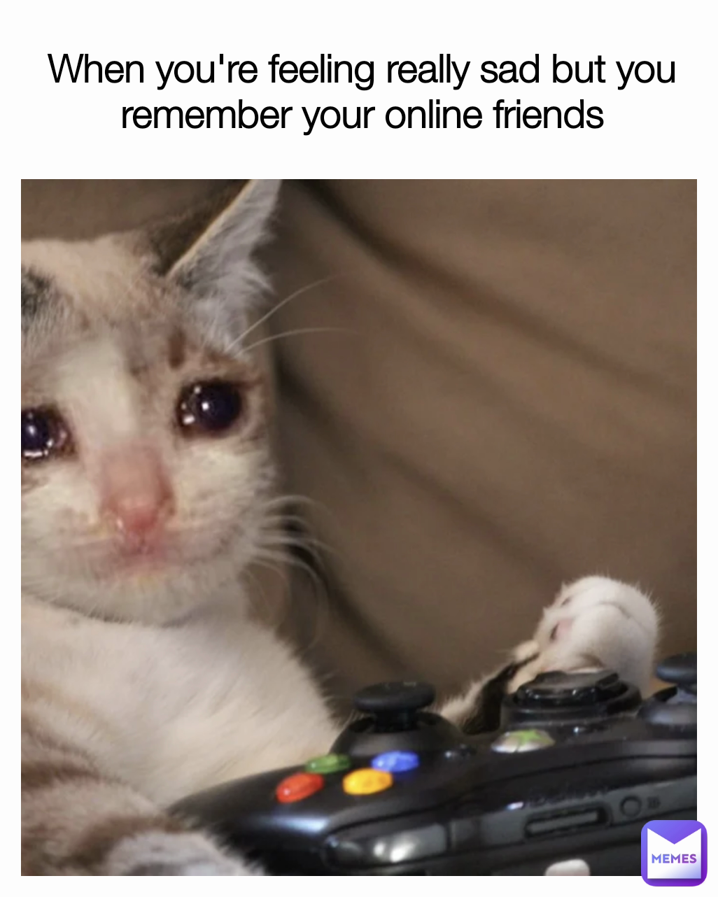 When you're feeling really sad but you remember your online friends