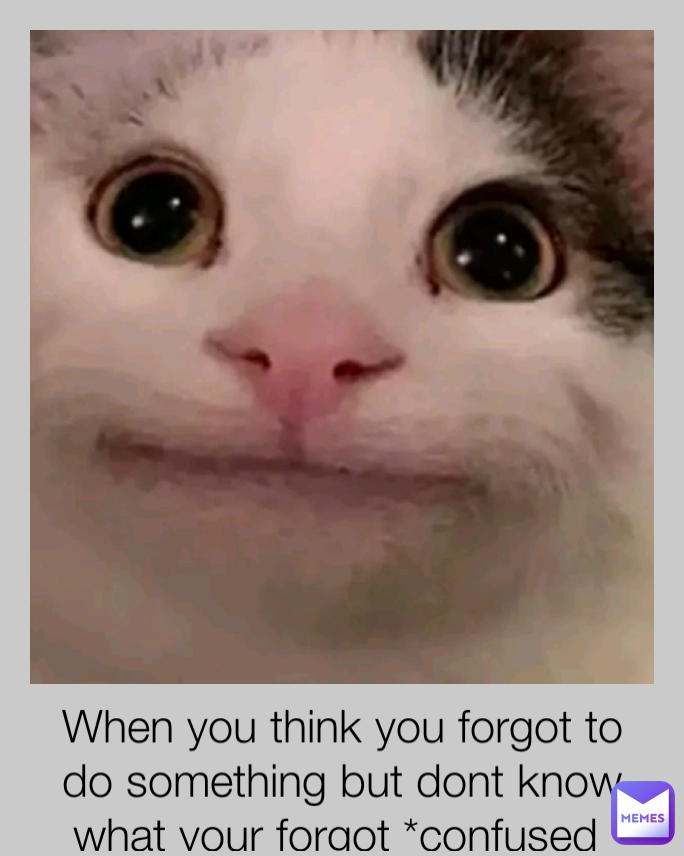 Meme by Imaan_Malikk21