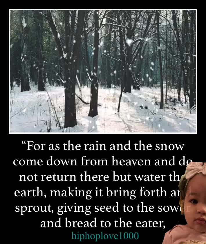 #winter  #cold  #holidays  #snow  #rain  #christmas  #snowing  #blizzard  #snowflakes  #wintertime  #staywarm  #cloudy  #instawinter  #instagood  #holidayseason  #photooftheday  #season  #seasons  #nature  #photography  #design