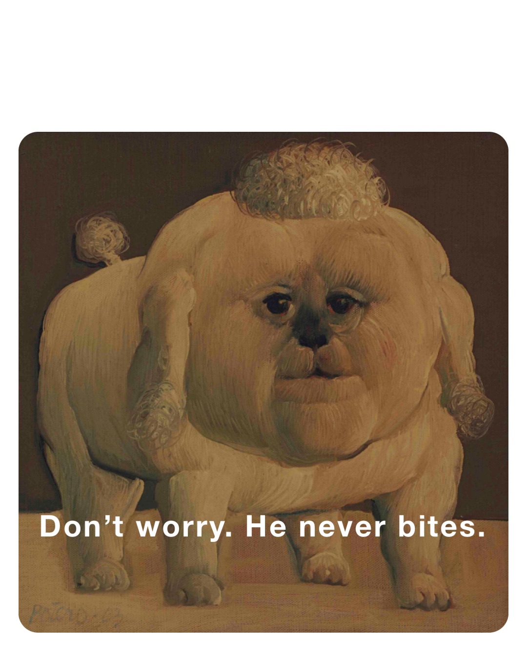Don’t worry. He never bites.