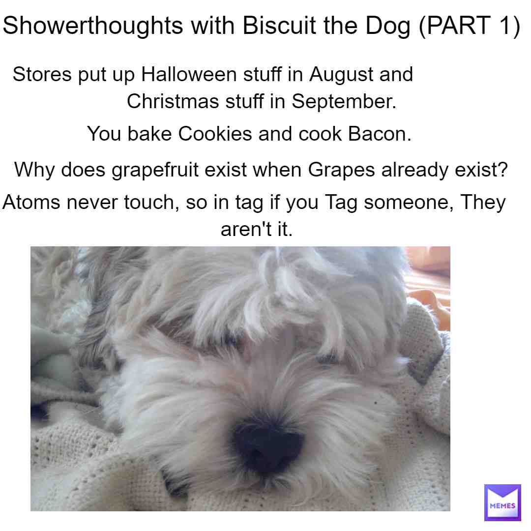 Shower Thoughts with Biscuit the Dog (Part 1)