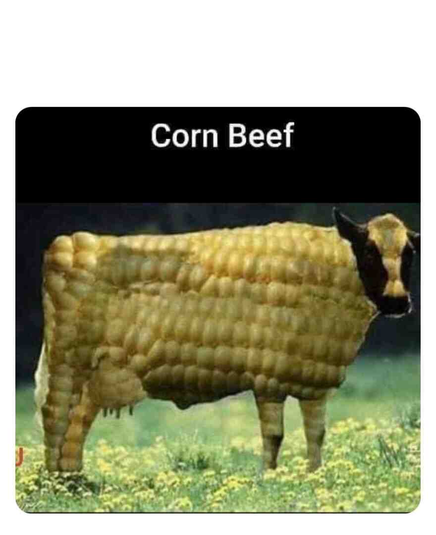 Meme shared by @aindo2