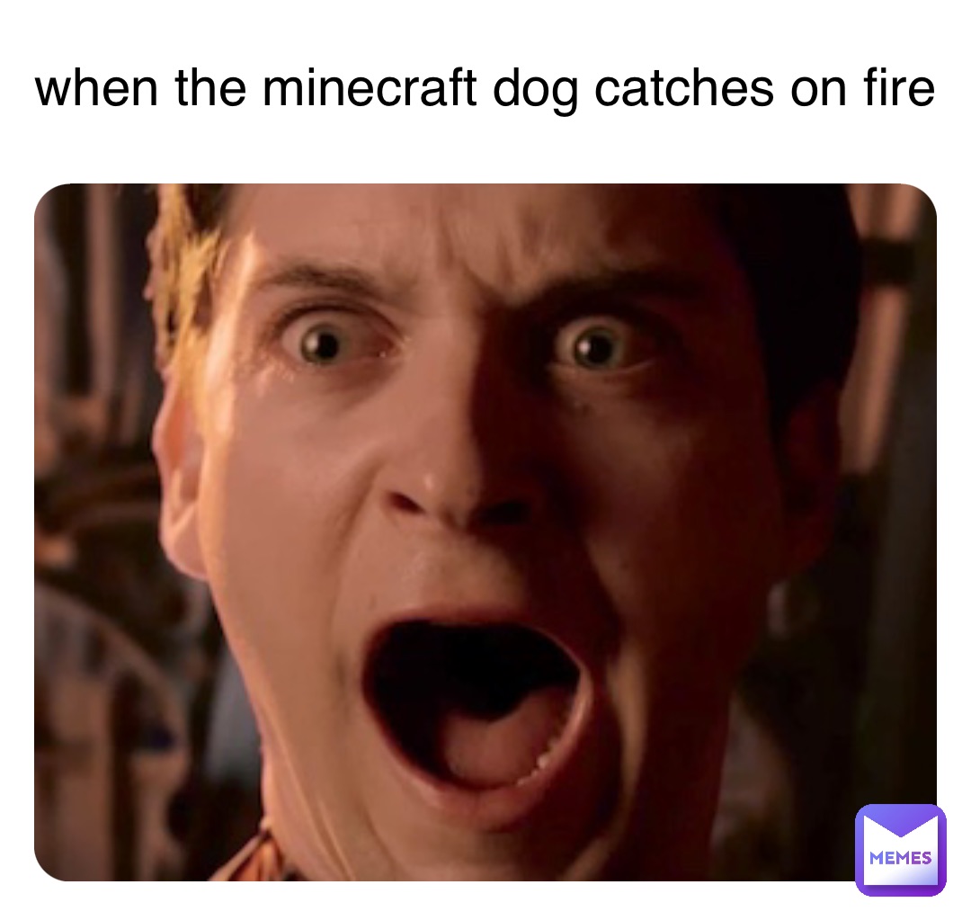 when the minecraft dog catches on fire