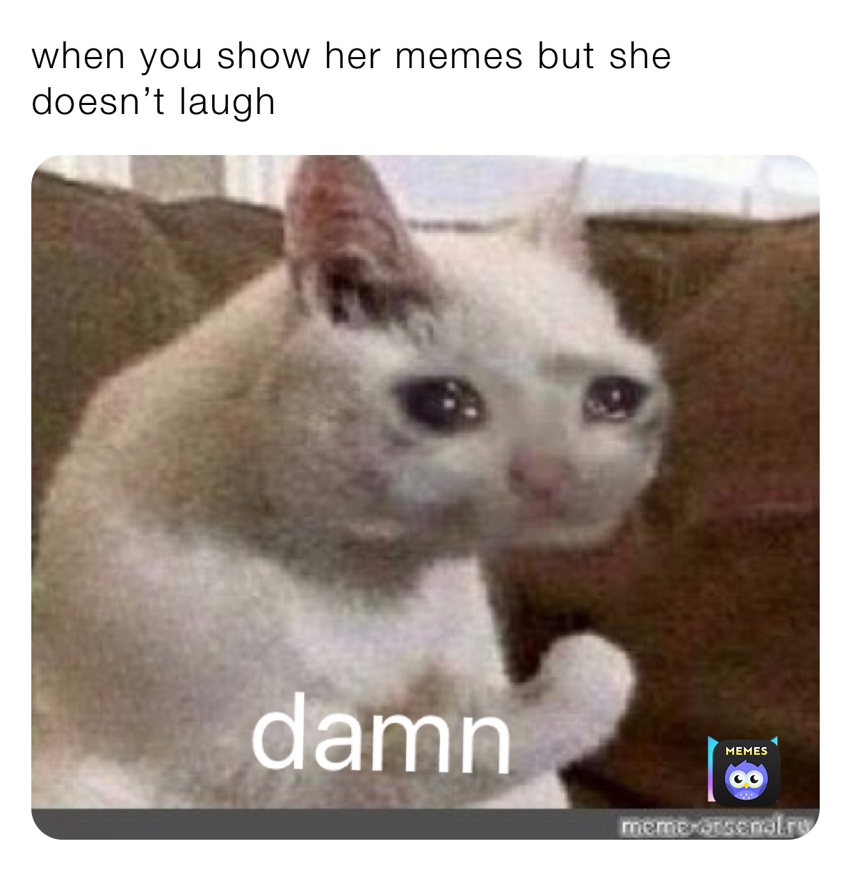 Meme by legendary_dani