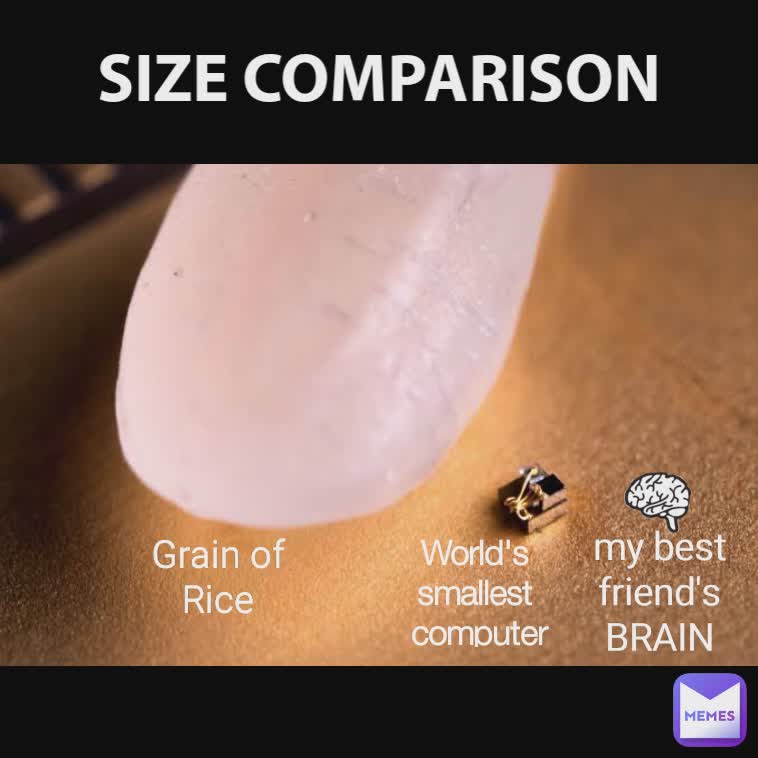 World's 
smallest 
computer Grain of Rice my best friend's
BRAIN . SIZE COMPARISON