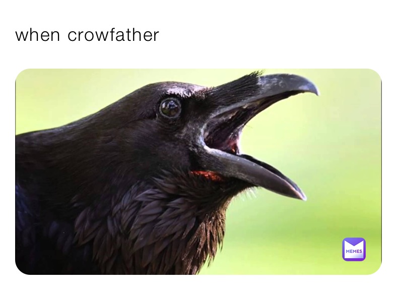 Meme by LasagneLover69