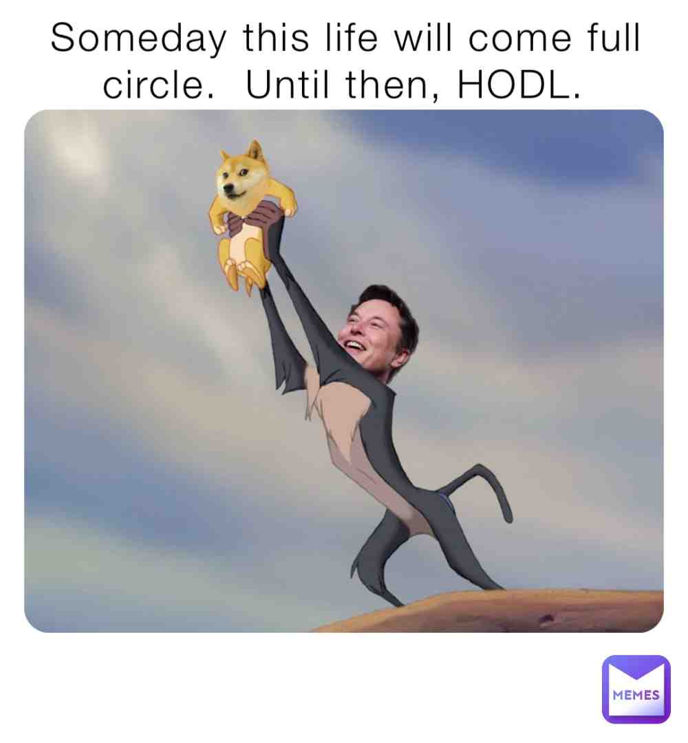 #doge #memecoin