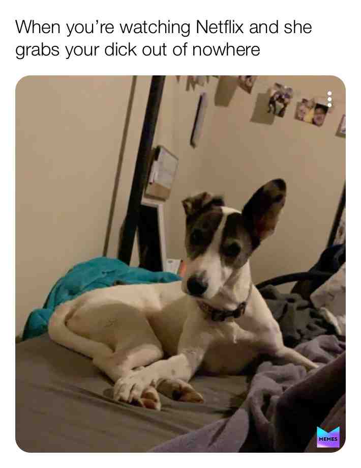 😏😉 #Netflixandchill  #doggo  #pupper  #like  #follow