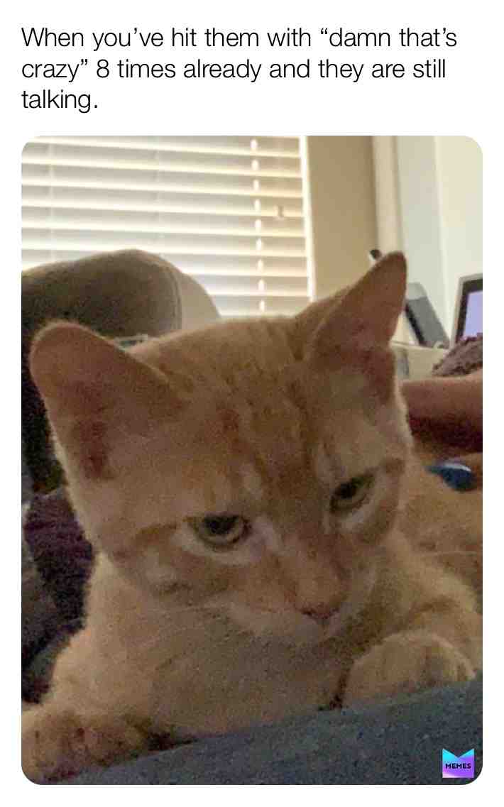Damn that crazy  #crazy  #coolbro  #shutup  #merrychristmas  #cats  #pleasestop
