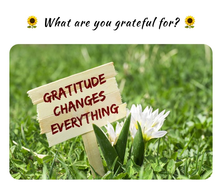 🌻 What are you grateful for? 🌻