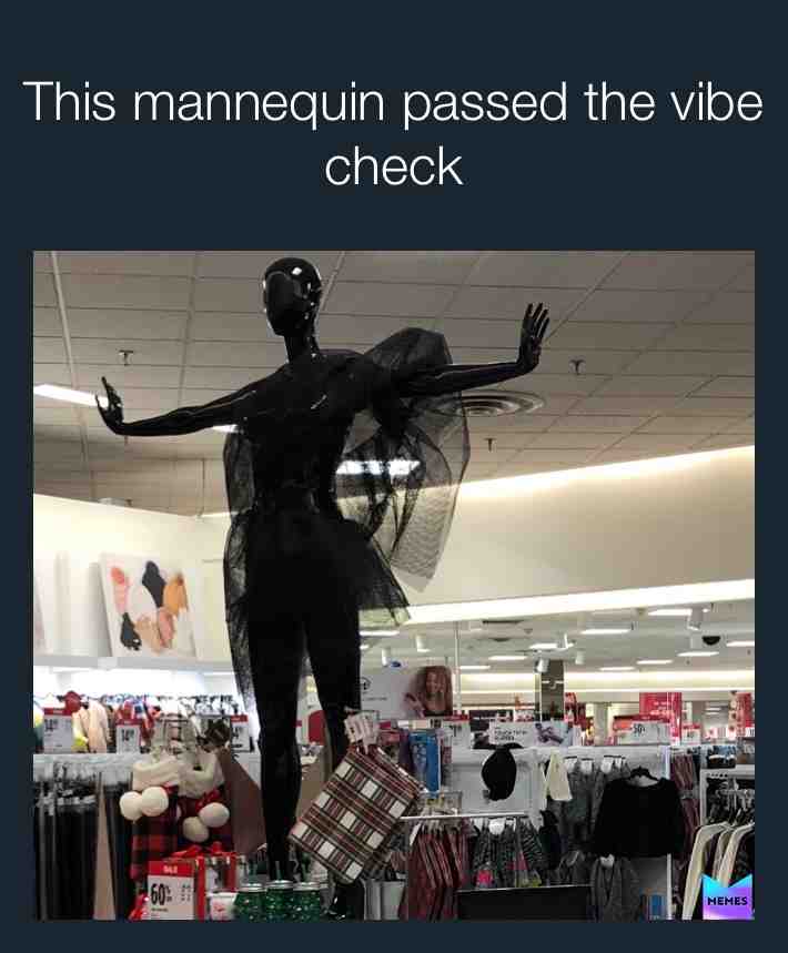 #memes #meme #vibecheck #vibe #check #model #vogue #livin #lit #yes #lol #relatable