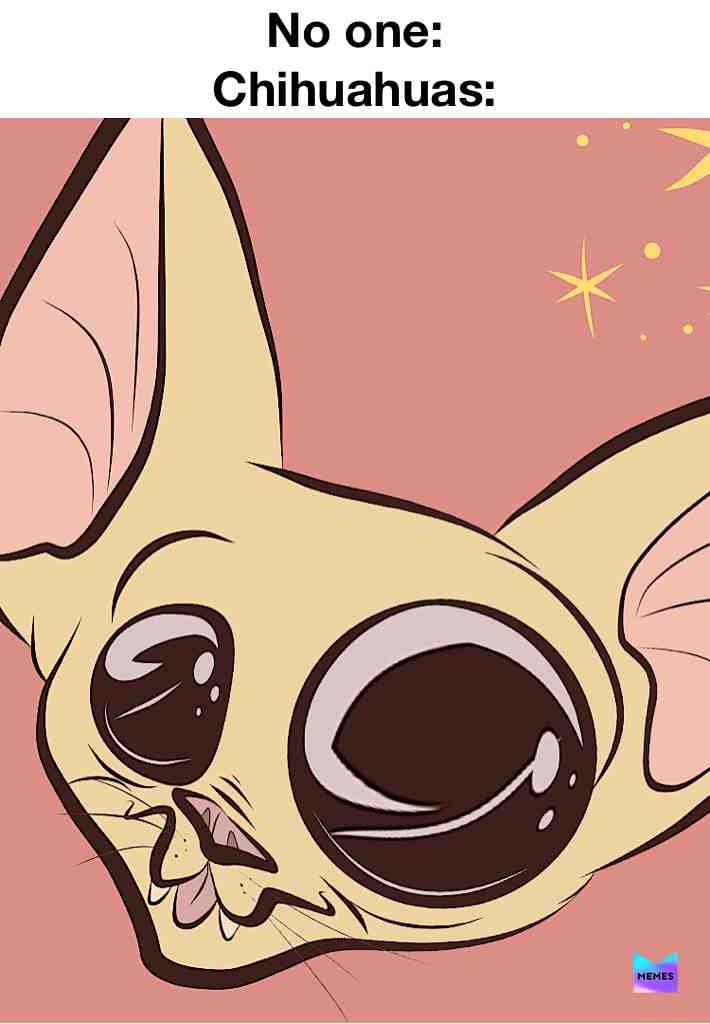 #dogmeme #meme #dogmemes #chihuahua #pupper #doggo #woof #eye #lol #originalart #art #big #annoying #true #creep #soul