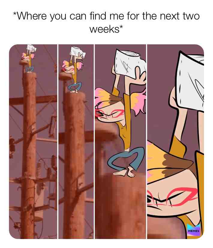 #meme #sickness #downwiththesickness #meme #memes #lol #tp #toiletpaper #apocalypse #shelter #burd #screee #screech #no #safe #hide #art #comic #digitalart #artistmeme