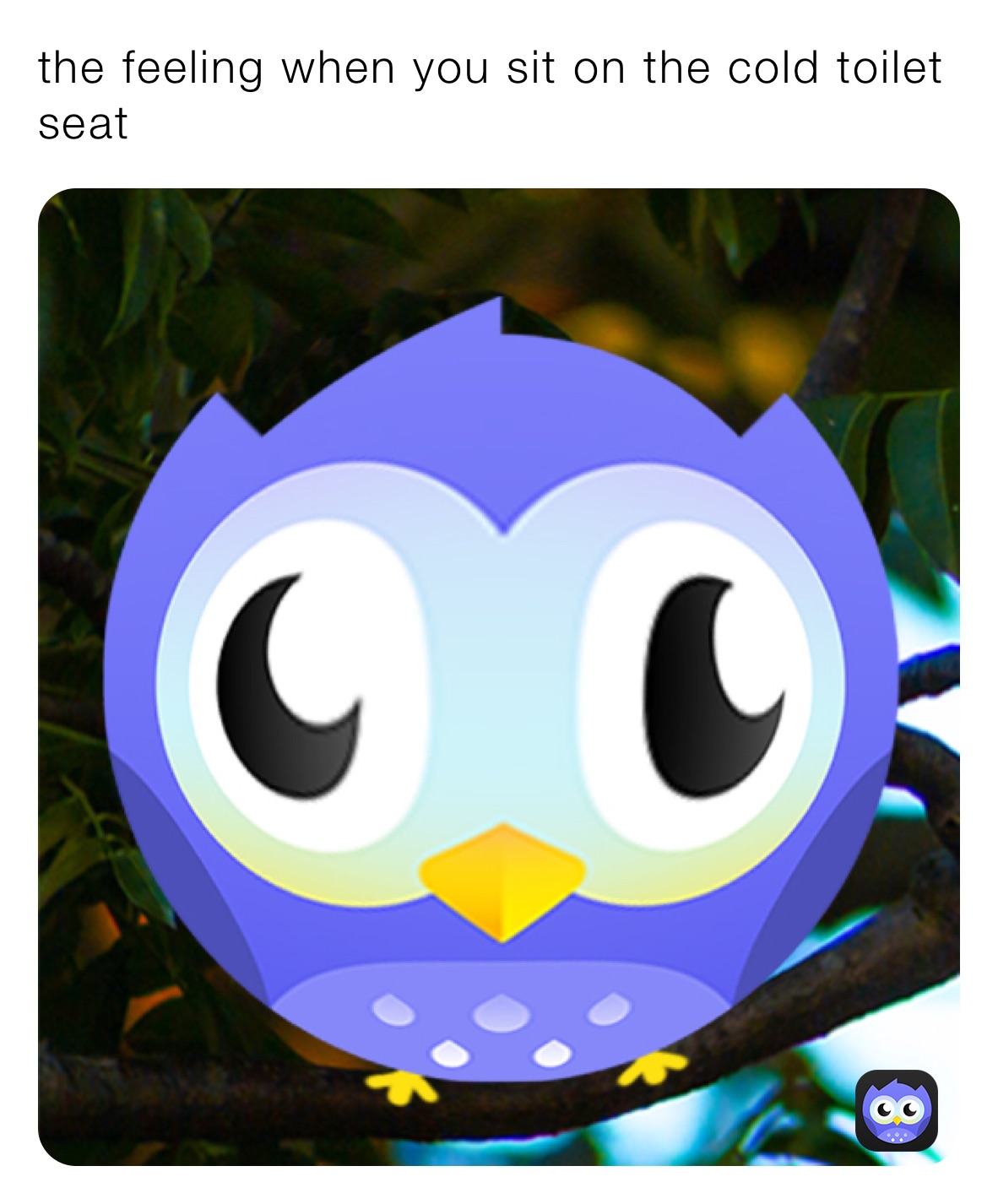 the feeling when you sit on the cold toilet seat