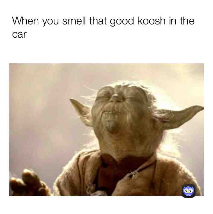 Meme shared by @envy_me