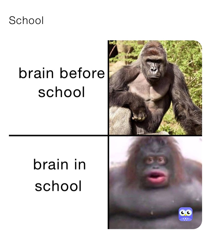 Meme by cool_memes_and_vibes