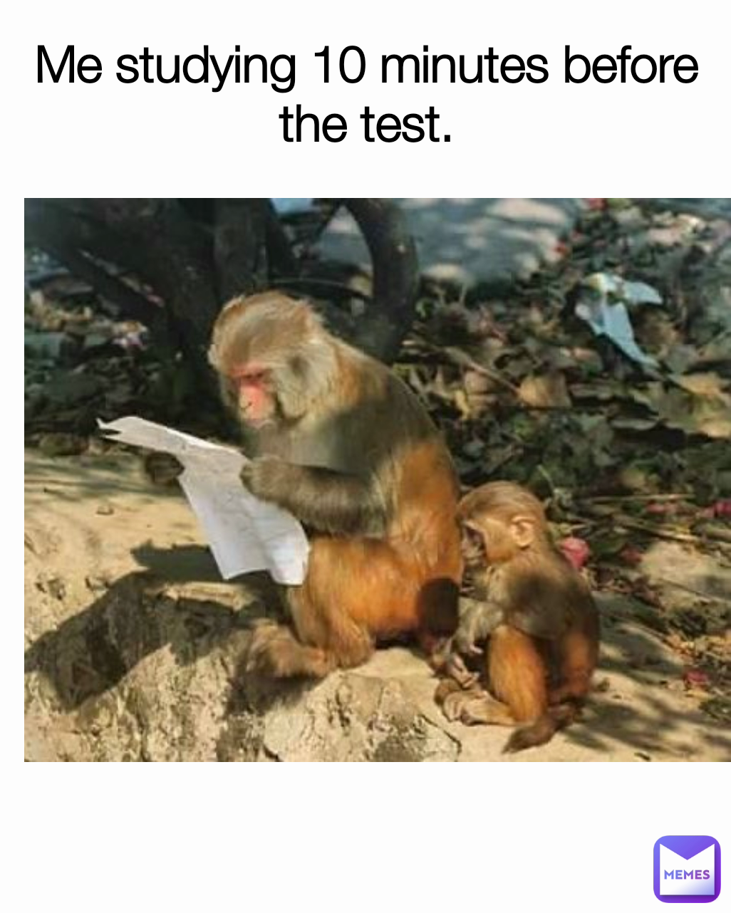 Me studying 10 minutes before the test.