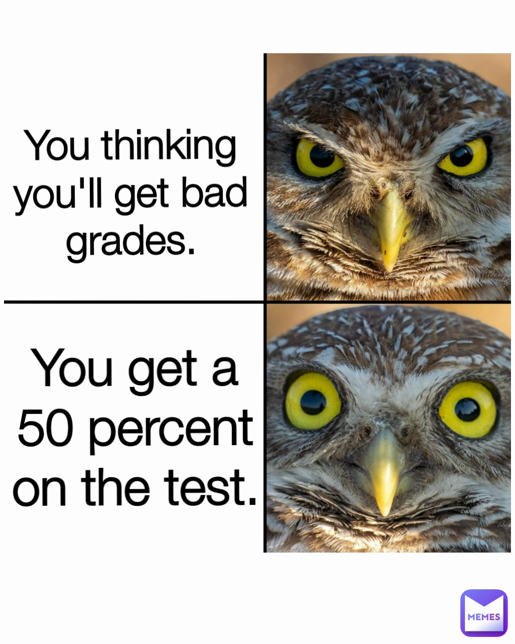 You get a 50 percent on the test. You thinking you'll get bad grades.