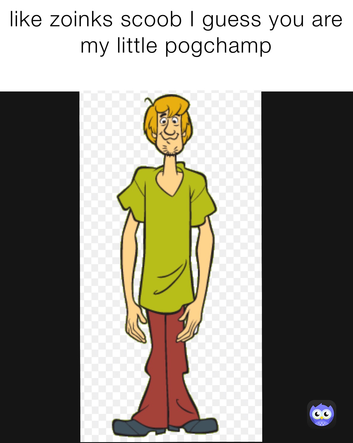 like zoinks scoob I guess you are my little pogchamp 
