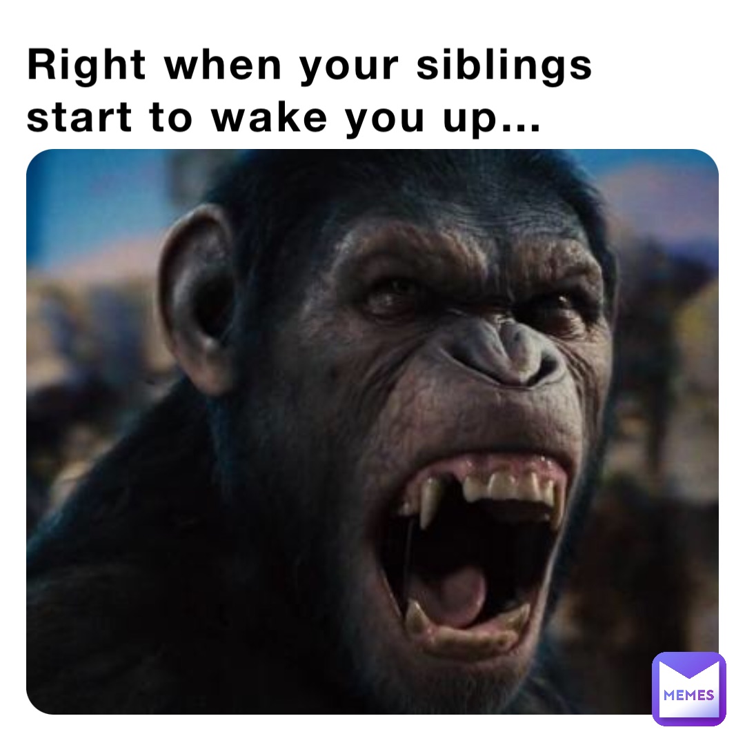 Right when your siblings start to wake you up…