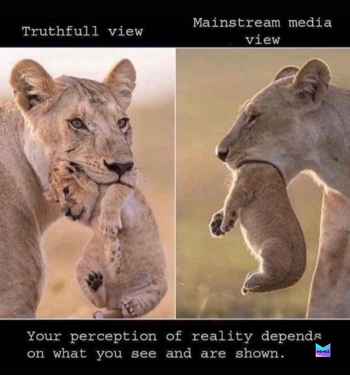 Meme by jcwmasterbuilder