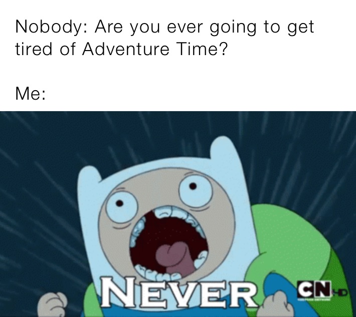 Nobody: Are you ever going to get tired of Adventure Time?

Me: