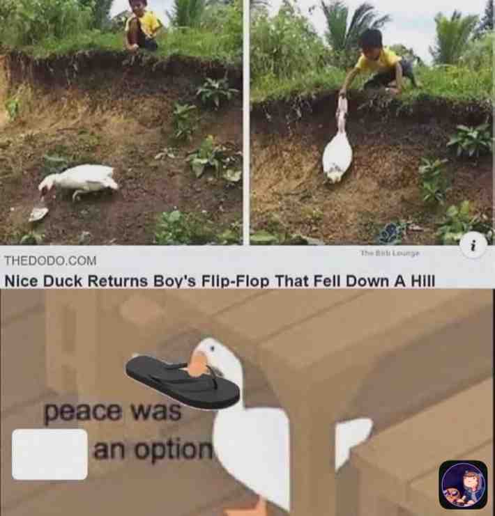 What a good goose #untitledgoosegame #saveamerica