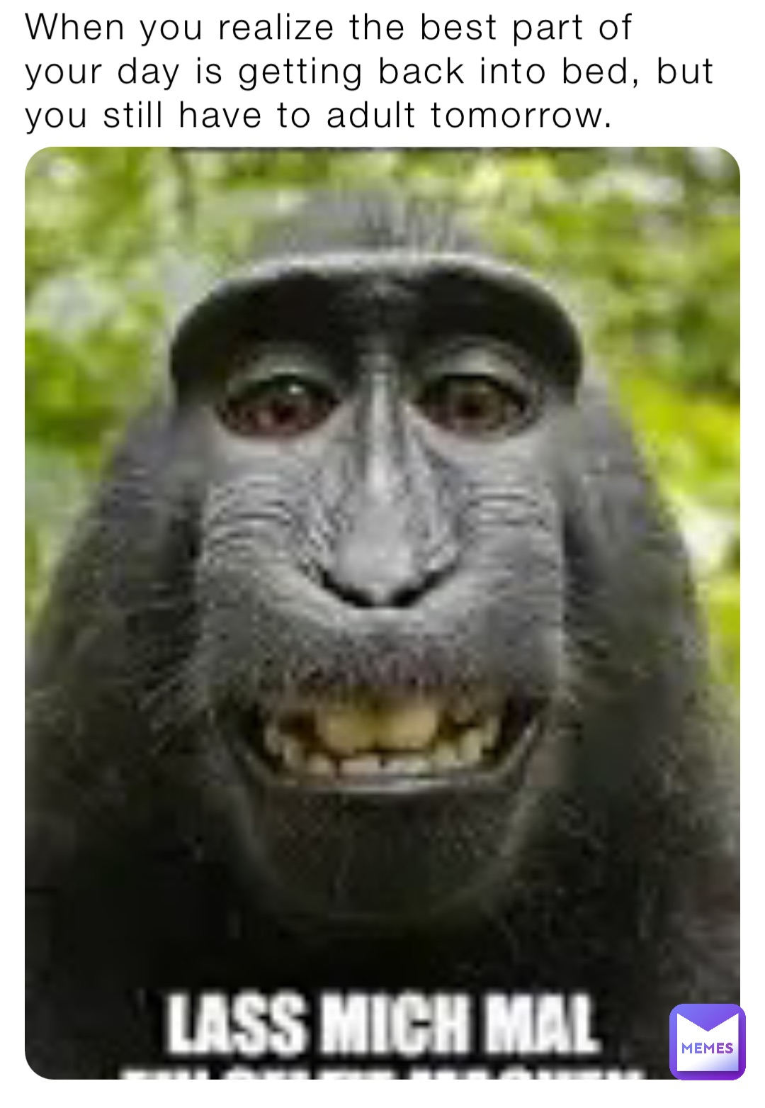 When you realize the best part of your day is getting back into bed, but you still have to adult tomorrow.