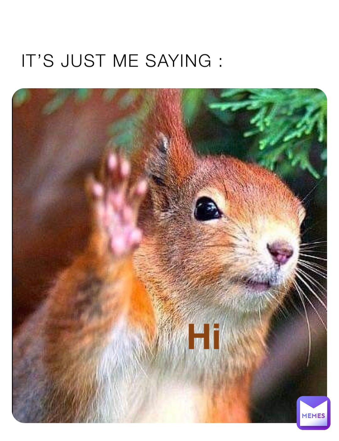 IT’S JUST ME SAYING : Hi