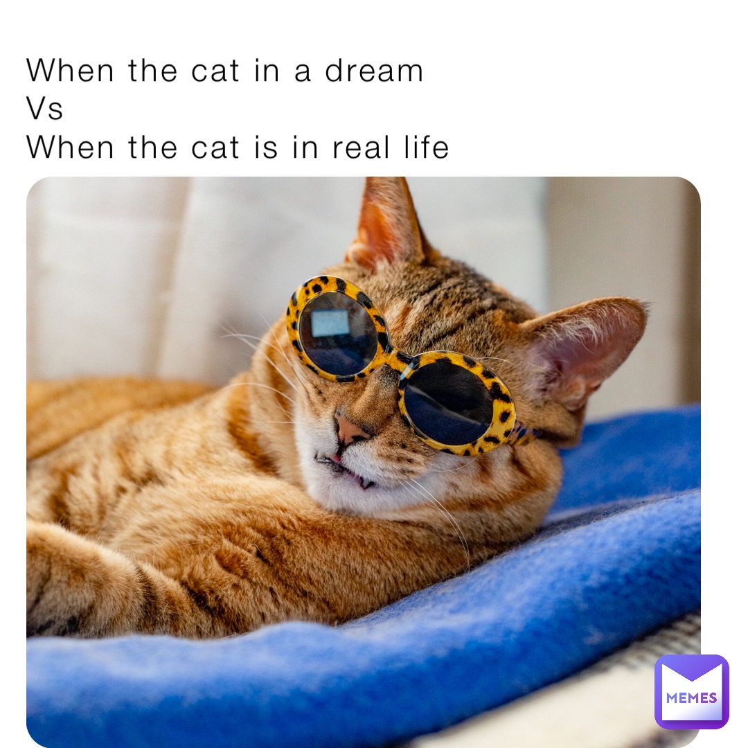 When the cat in a dream
Vs
When the cat is in real life