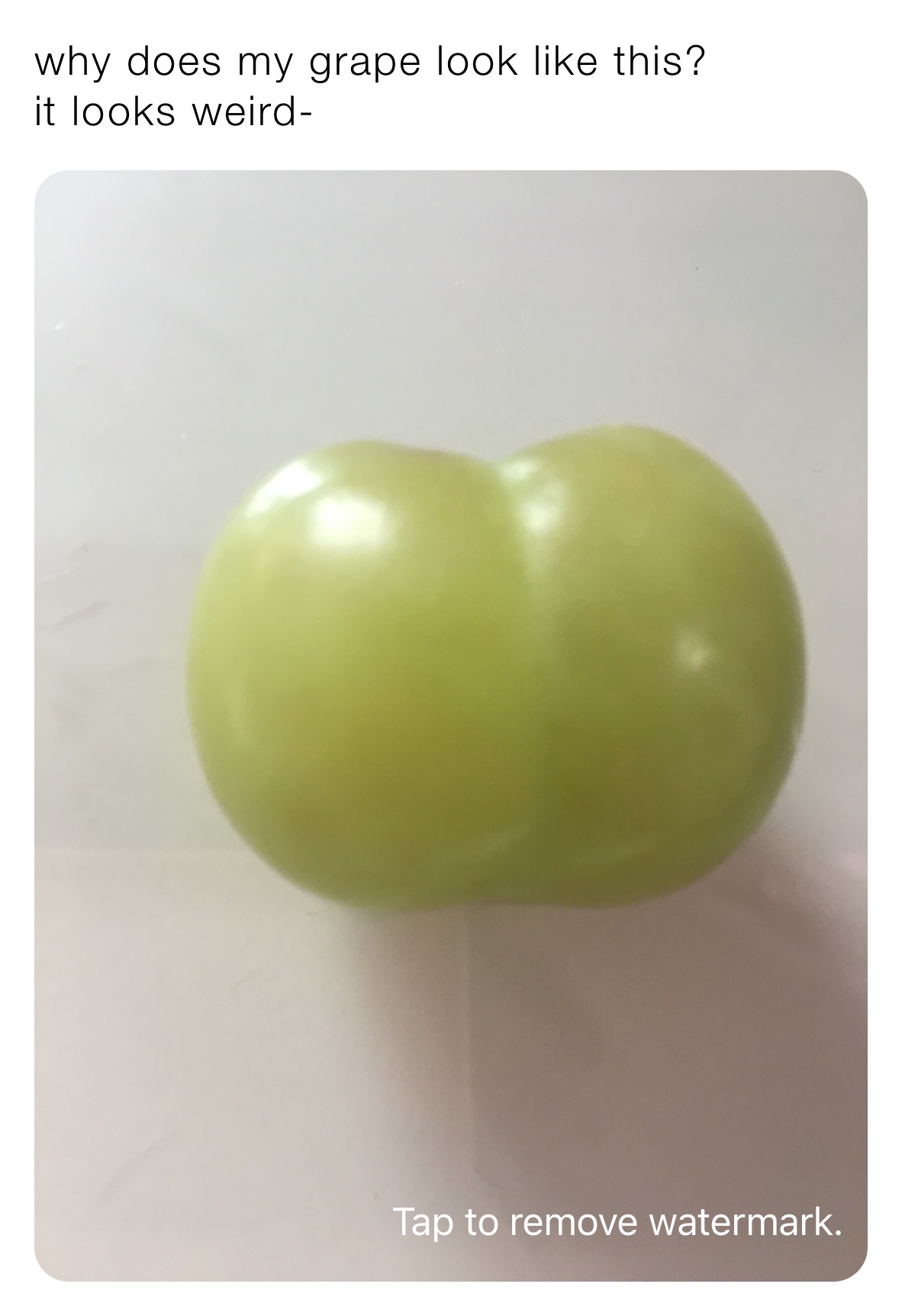 why does my grape look like this?
it looks weird-