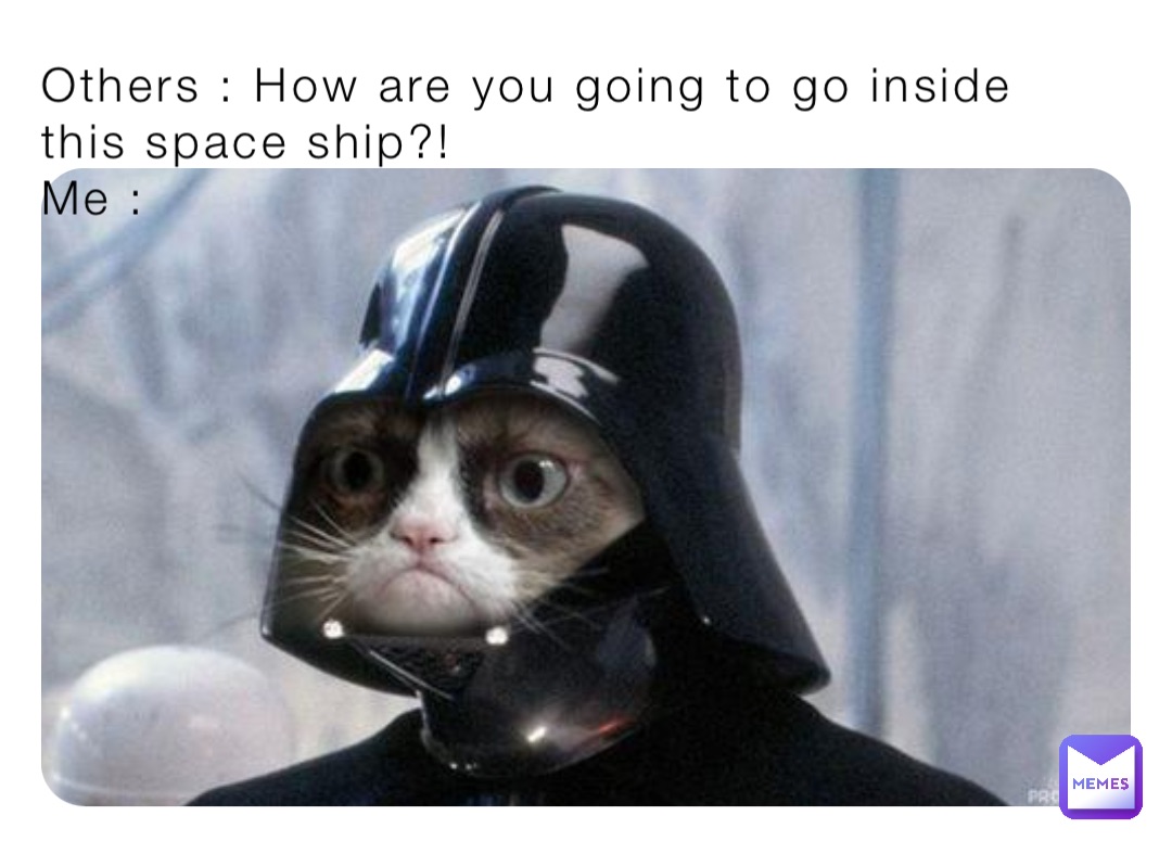 Others : How are you going to go inside this space ship?!
Me : Others : How Are We Going doing To Go Inside This Ship?! Others : How are we going to go inside this ship?!