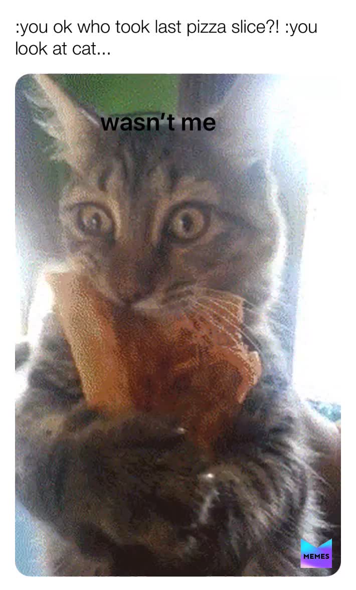 #pizza theif
