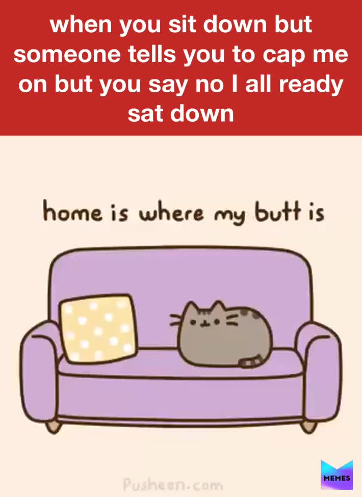 #lazy cat