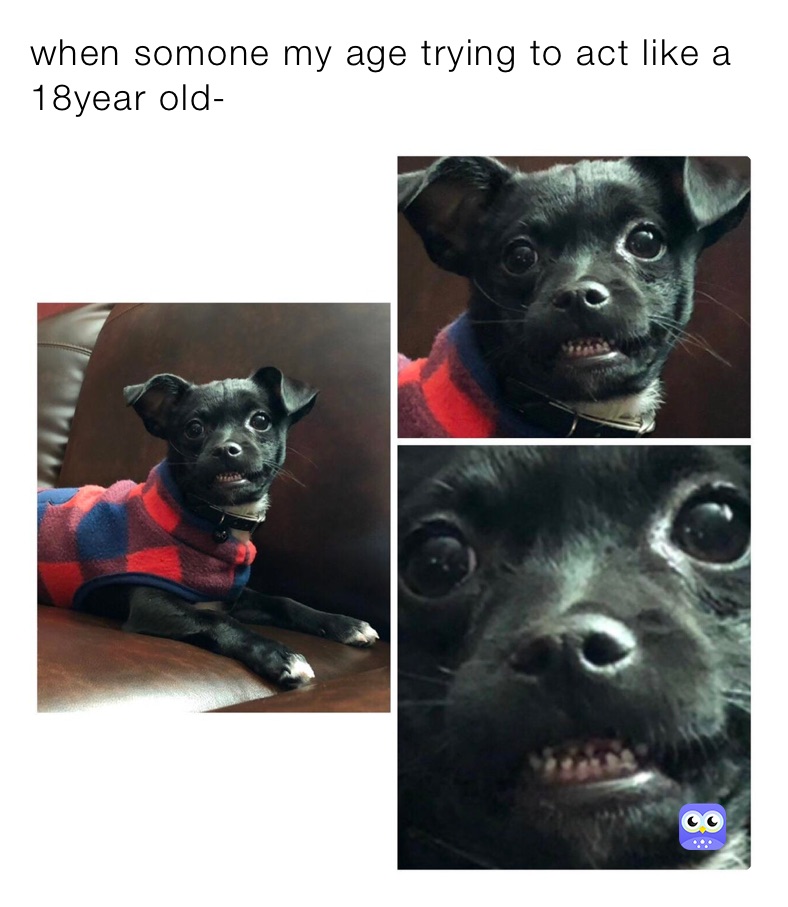 Meme by nathalypinto8