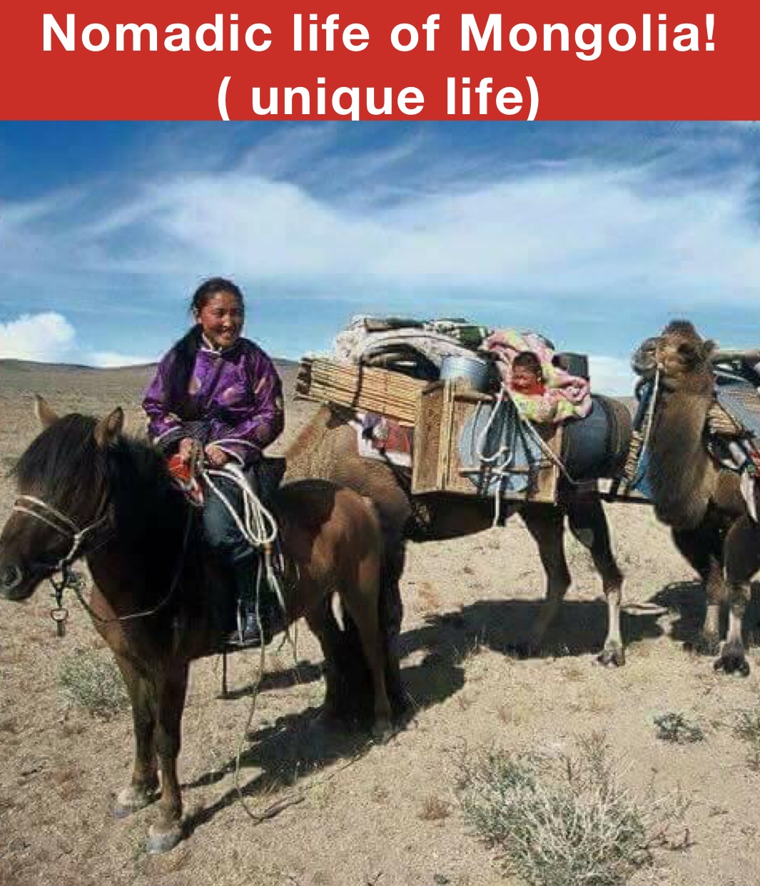 Nomadic life of Mongolia! ( unique life)