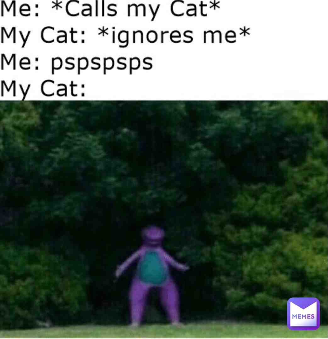 Meme preview