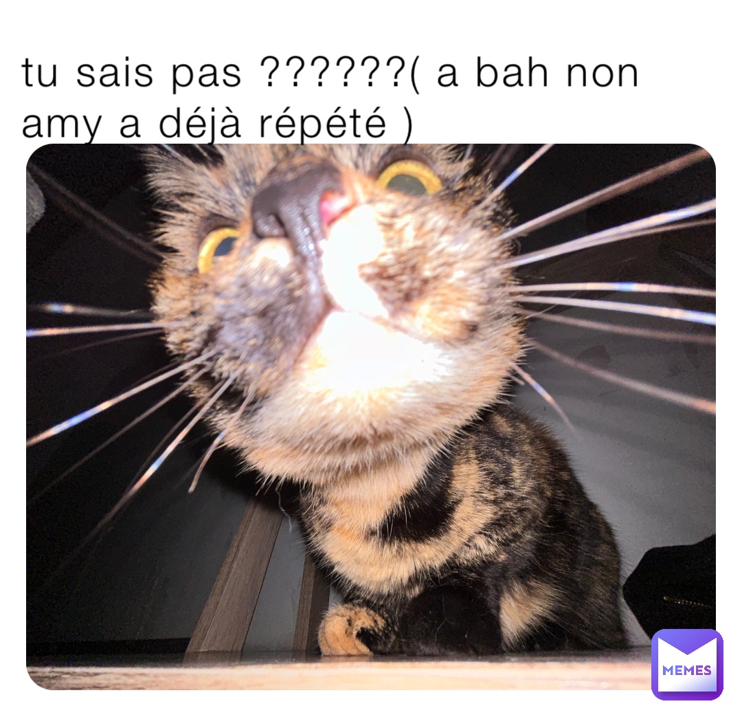 tu sais pas ??????( a bah non amy a déjà répété )