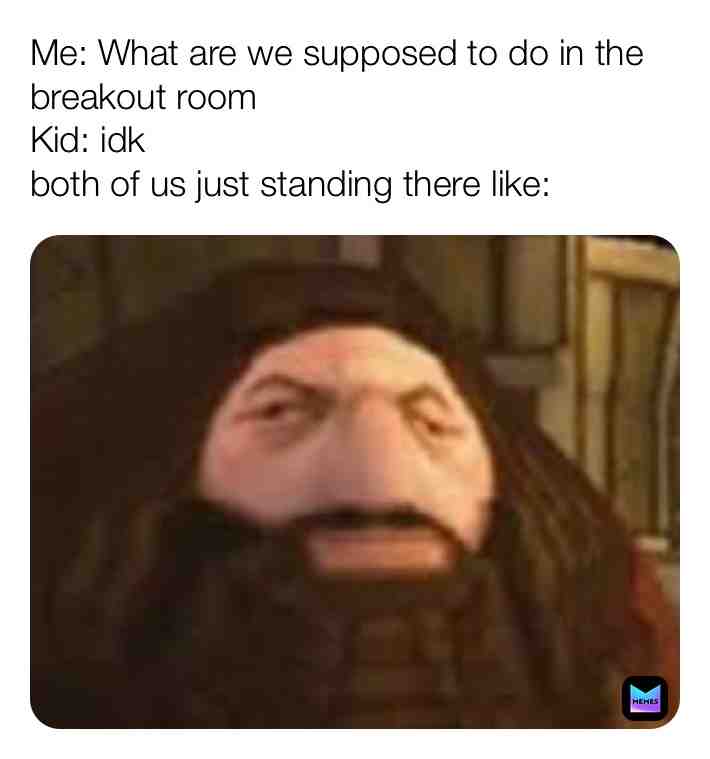 Meme shared by @deep_fried_meatballs