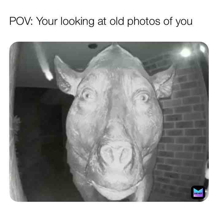 Meme shared by @deep_fried_meatballs