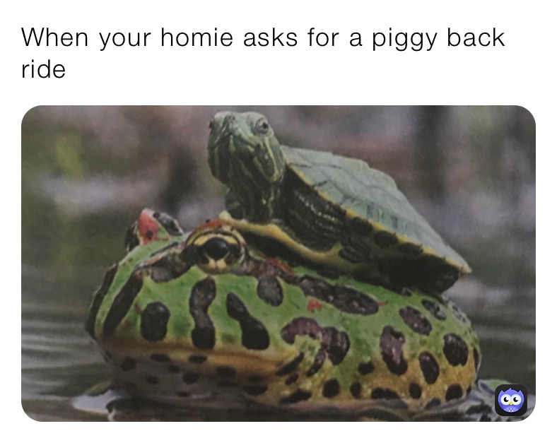 When your homie asks for a piggy back ride